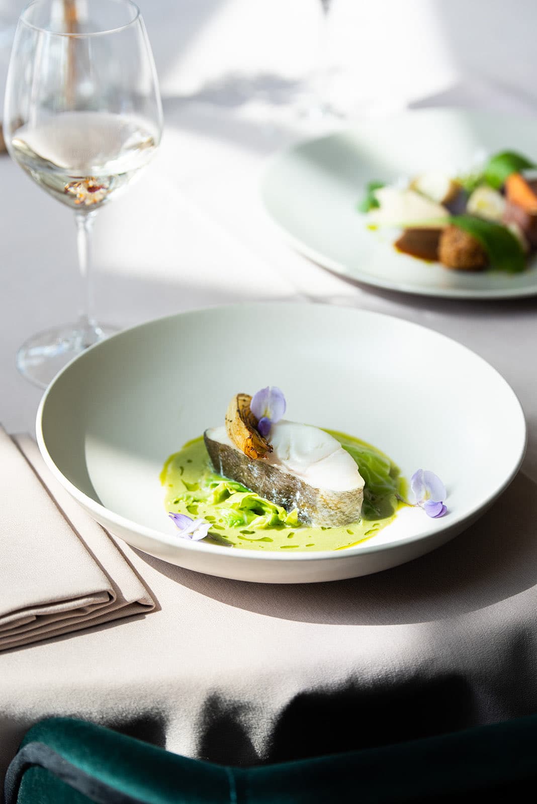 A dish